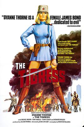 织梦seo优化泛目录